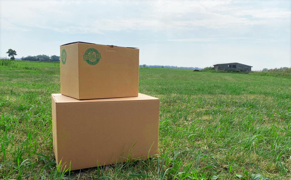 Duurzaam verzenden EcoCoolBox